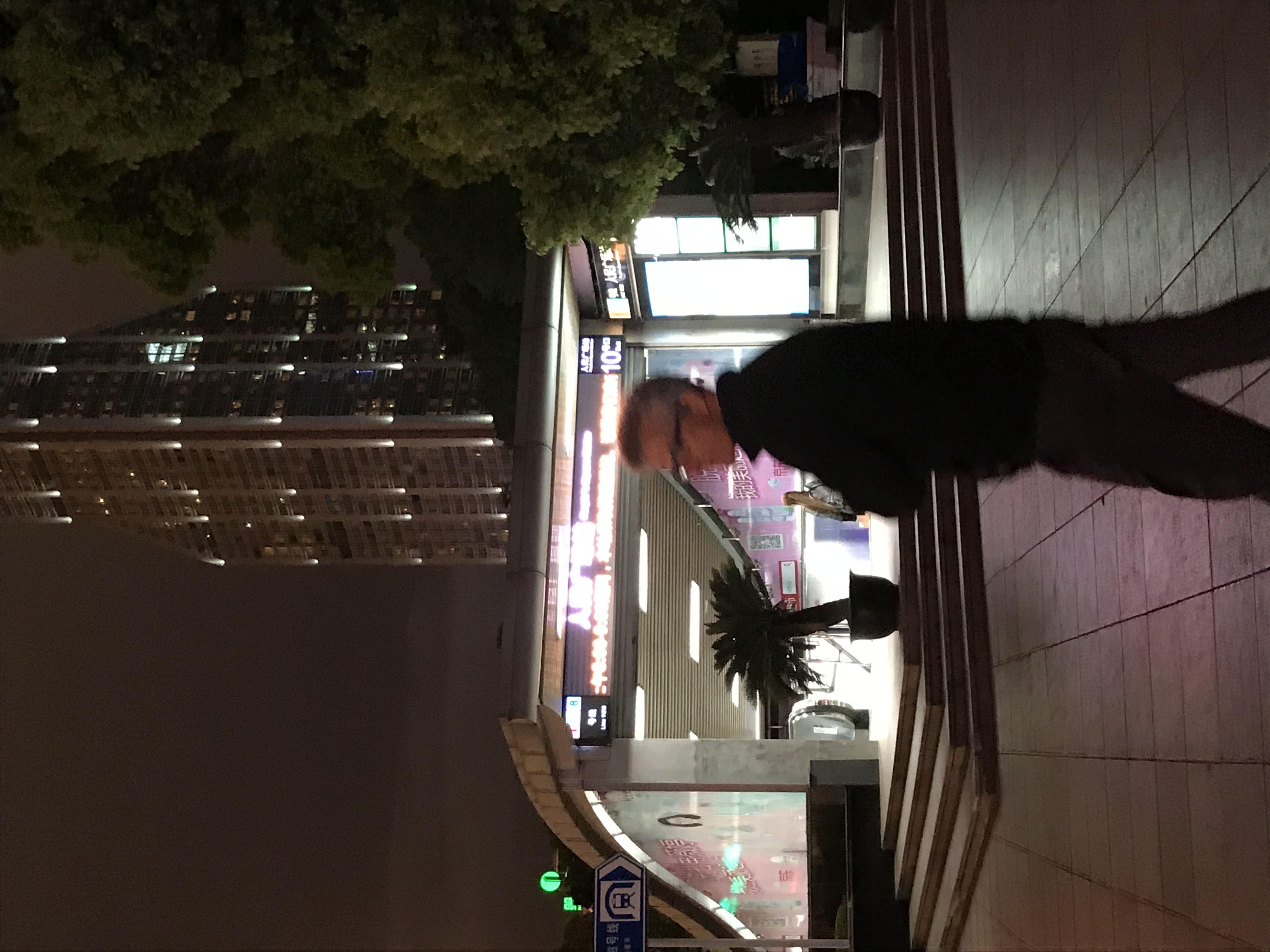 ./2018/03 - Viking China/22 - Shanghai Day 1/IMG_9983.JPG